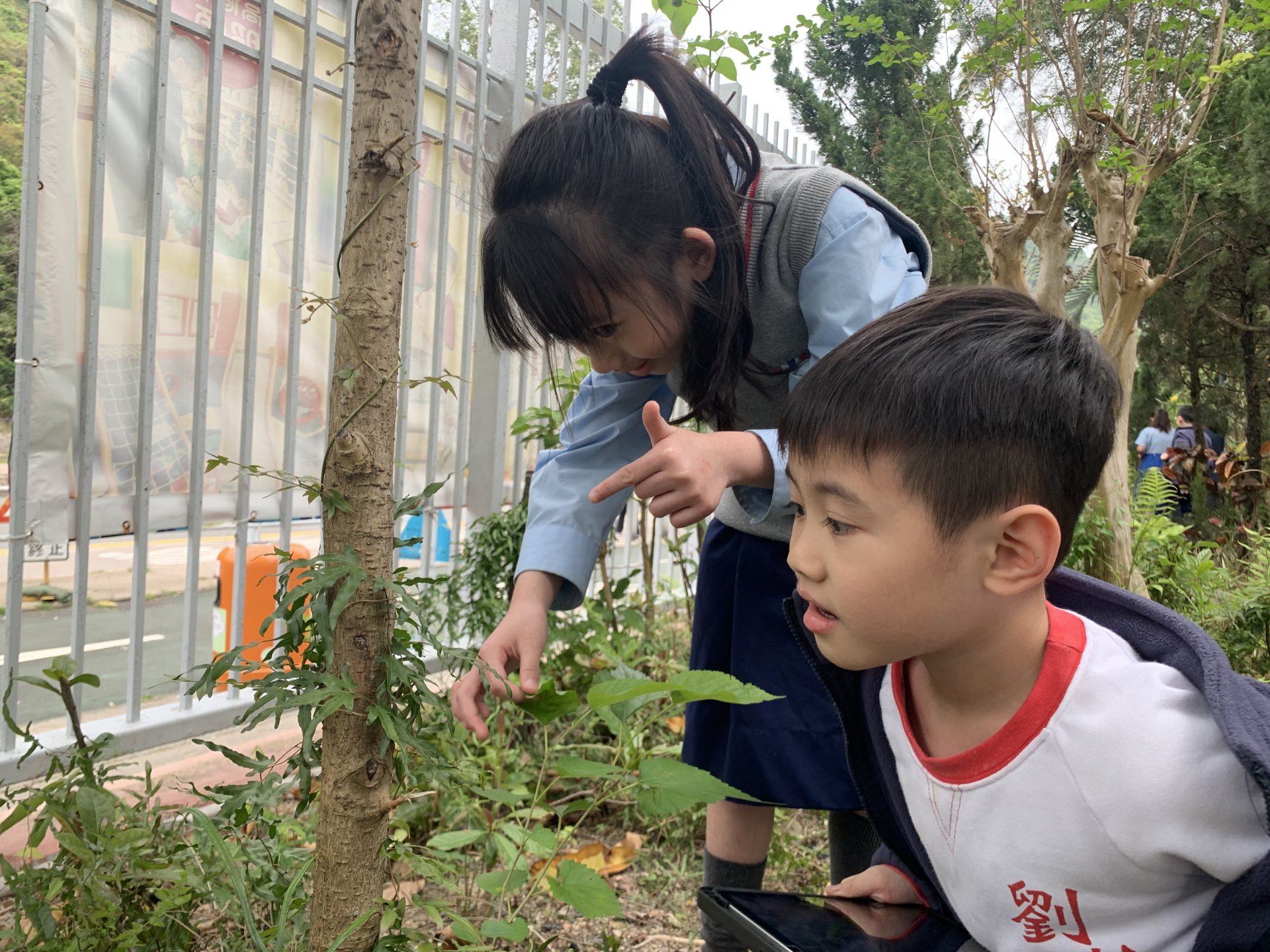 劉校點蟲蟲