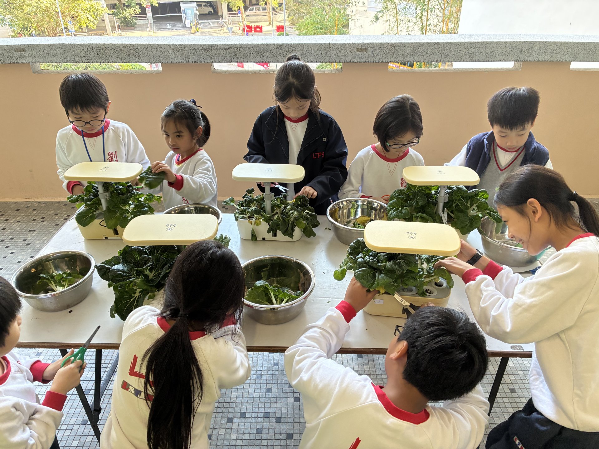 校園農夫實習計劃