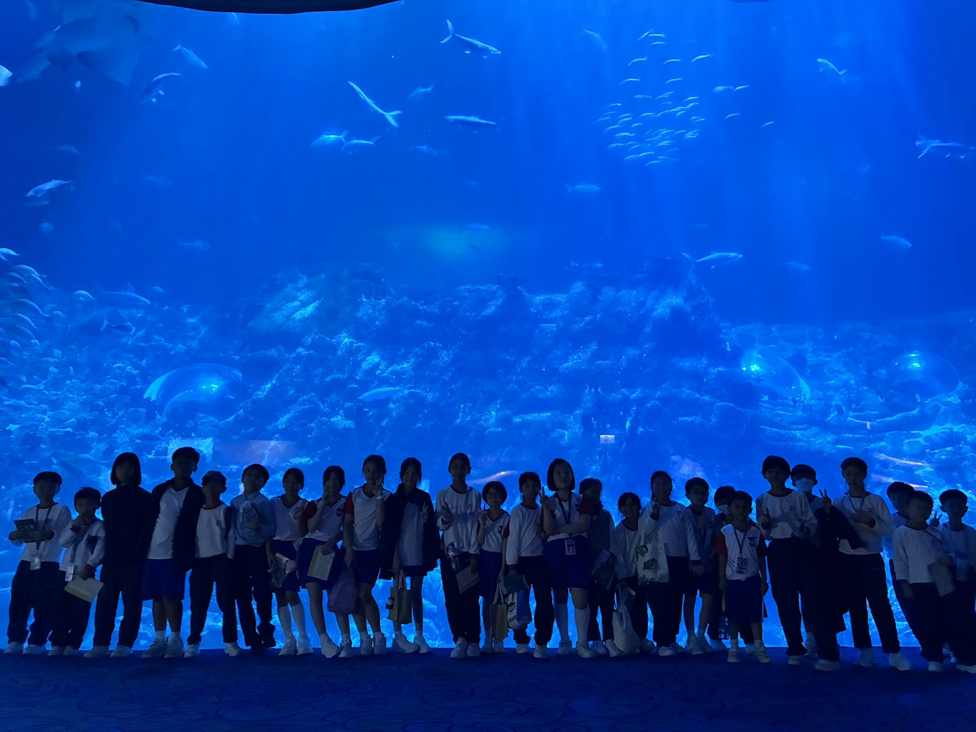 海馬同學會海洋公園保育考察之旅